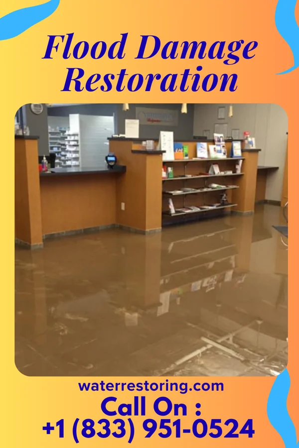 Flood Damage Restoration in Springboro, OH