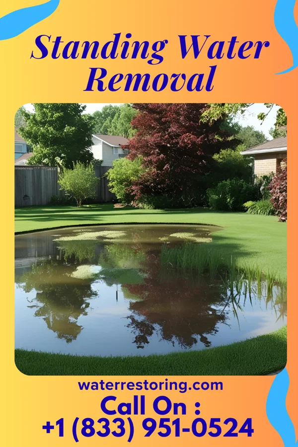 Standing Water Removal in Springboro, OH